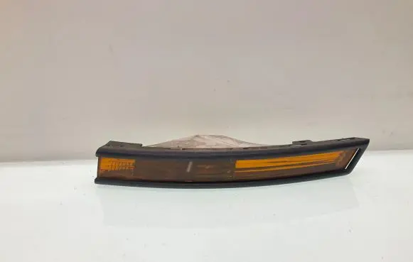 Volkswagen PASSAT B6 Front indicator light 3C0953041F