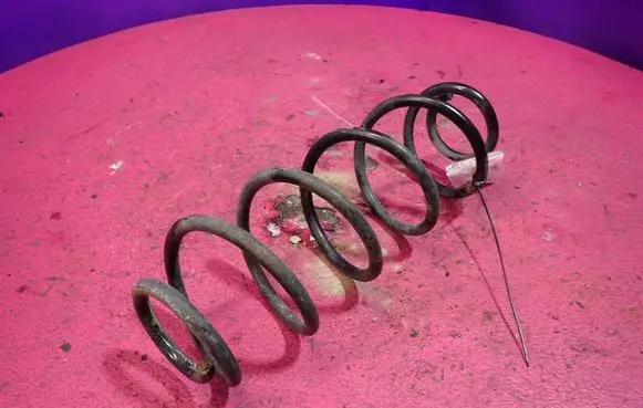Rear coil spring
