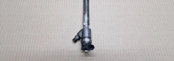 Citroen Berlingo Fuel injector 0445110955