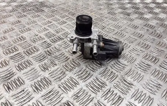 Citroen Berlingo EGR valve cooler 707794190