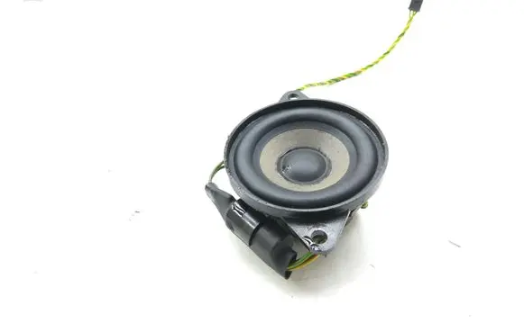 BMW X5 E53 Panel speaker 65138379375