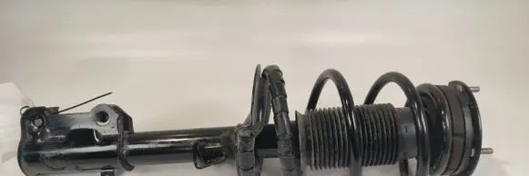 Ford Mustang V Front shock absorber with coil spring 332349 8221102
