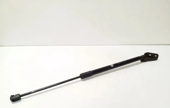 Tailgate/trunk strut/damper