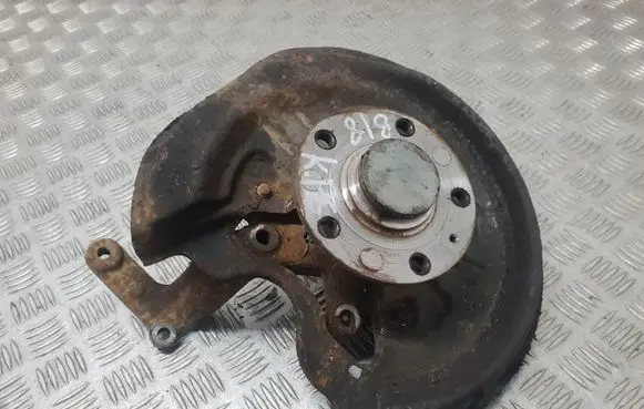 Volkswagen Golf V Rear wheel hub