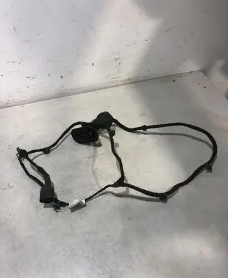 Audi A4 S4 B7 8E 8H Rear door wiring loom 8E0971687H