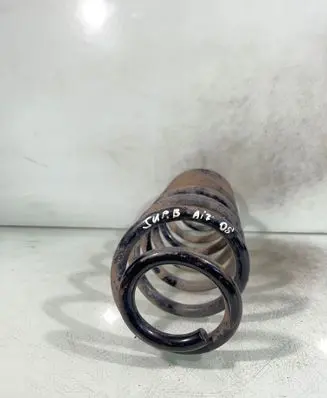 Rear coil spring