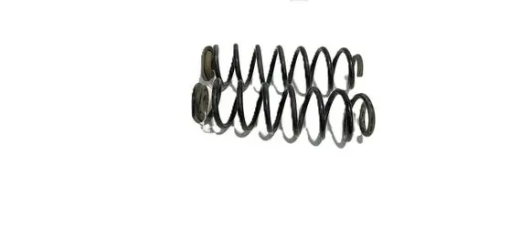 Rear coil spring