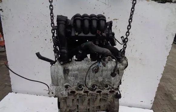 Volkswagen Polo V 6R Engine