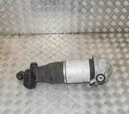 Porsche Cayenne (9PA) Rear shock absorber/damper 7L5616020F