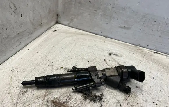 Renault Espace - Grand espace IV Fuel injector 0445110084