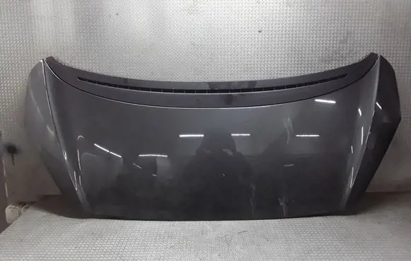 Peugeot 1007 Engine bonnet/hood