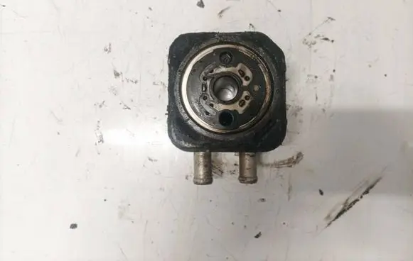 Volkswagen Golf IV Engine oil radiator 