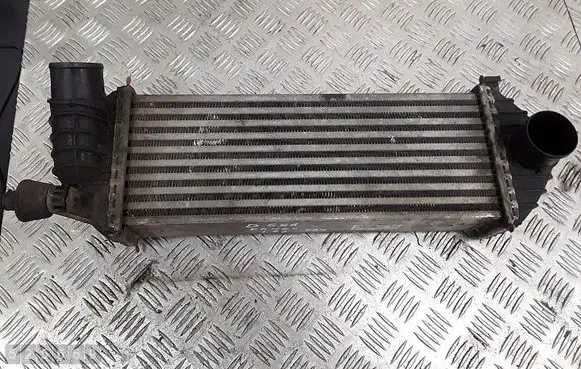 Renault Kangoo II Intercooler radiator 8200382109