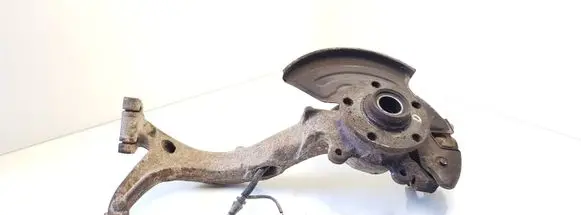 Volkswagen PASSAT B5.5 Front wheel hub spindle knuckle