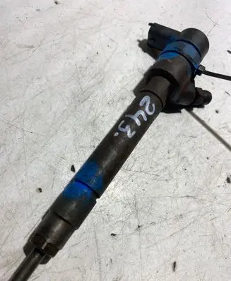Volvo V70 Fuel injector 0445110251