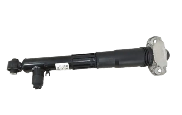 Volkswagen ID.4 Rear shock absorber/damper 1EA512037D