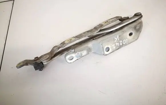 Tailgate/trunk/boot hinge