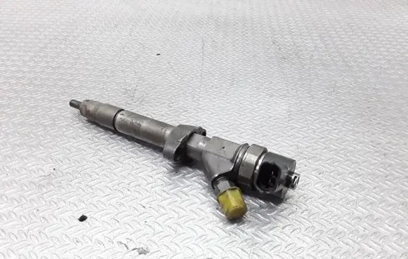 Renault Espace - Grand espace IV Fuel injector 0445110084