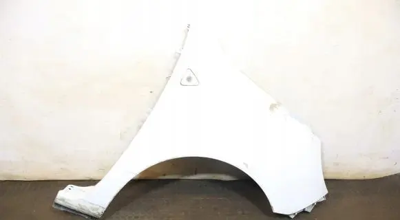 Renault Kangoo II Fender
