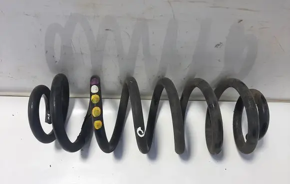 Rear coil spring