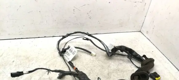 Front door wiring loom