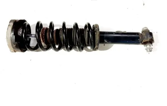 BMW X3 F25 Rear shock absorber with coil spring 6796422