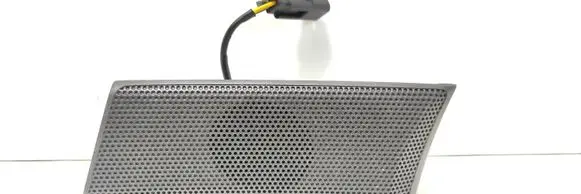 Front door high frequency speaker