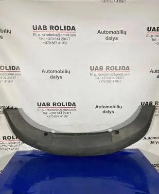 Front bumper lip