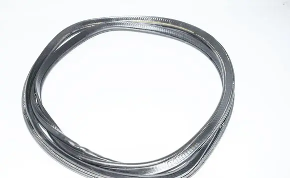 Rear door rubber seal (on body)