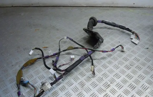 Front door wiring loom