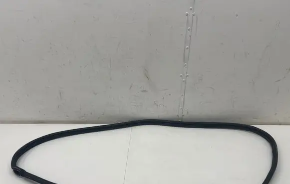 Hyundai IONIQ 6 Front door rubber seal 