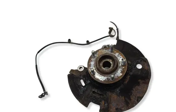 Hyundai Santa Fe Front wheel hub 956712W000