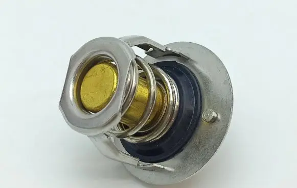 Microcar MC Thermostat 1005058 11962149801