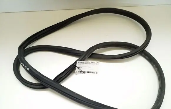 Nissan Juke I F15 Rubber seal rear door 