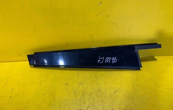 BMW X3 E83 Rear door trim (molding)