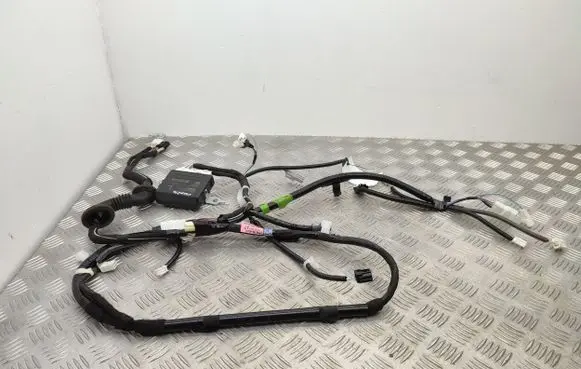 Toyota RAV 4 (XA50) Tailgate/trunk wiring harness 8922242101 8218442A71