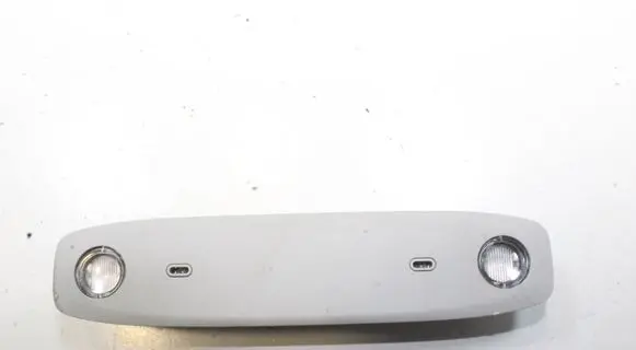 Tesla Model 3 Rear seat light 109257400C