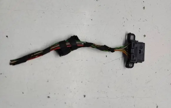 Other wiring loom
