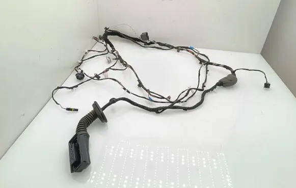 Front door wiring loom