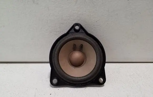 Porsche Cayenne (92A) Panel speaker 