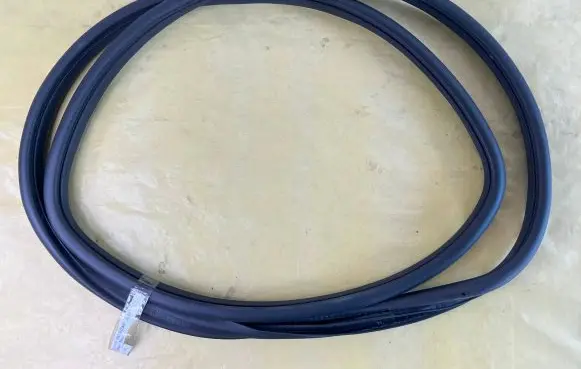 Mercedes-Benz B W245 Front door rubber seal A1696920476
