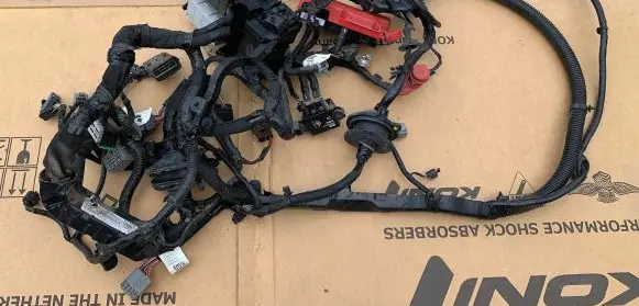 Other wiring loom