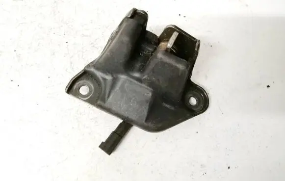 Fiat Punto (176) Tailgate/trunk/boot lock/catch/latch