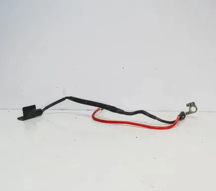 Positive wiring loom