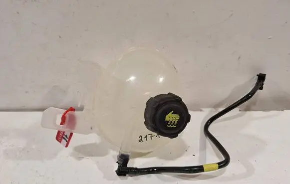 Renault Master IV Coolant expansion tank/reservoir 217117745R