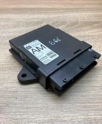 Opel Signum Door control unit/module 13111457 5WK46002