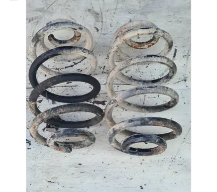 Opel Vectra C Rear coil spring