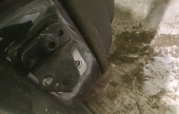 Rear door lower hinge