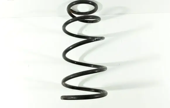 Front coil spring