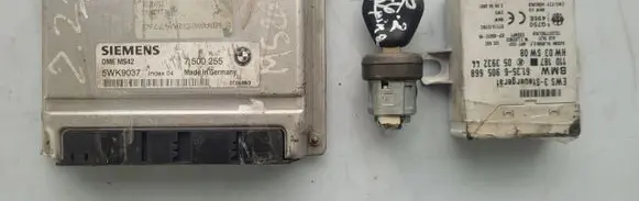 BMW 3 E46 Other control units/modules 7500255